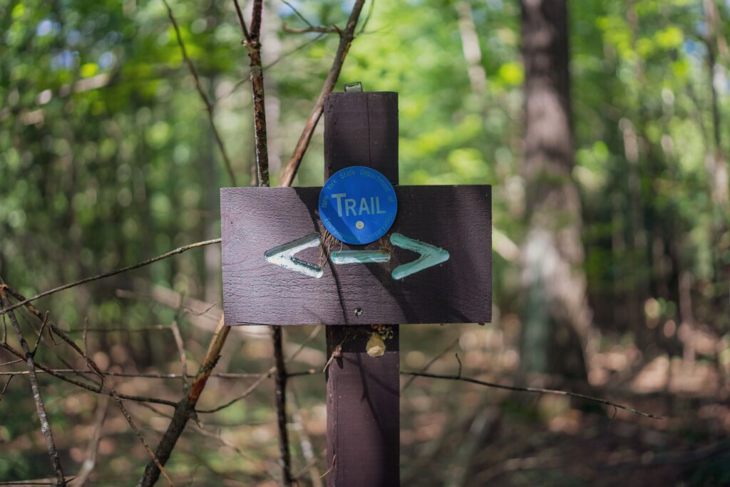 How to Read the Wilderness Within