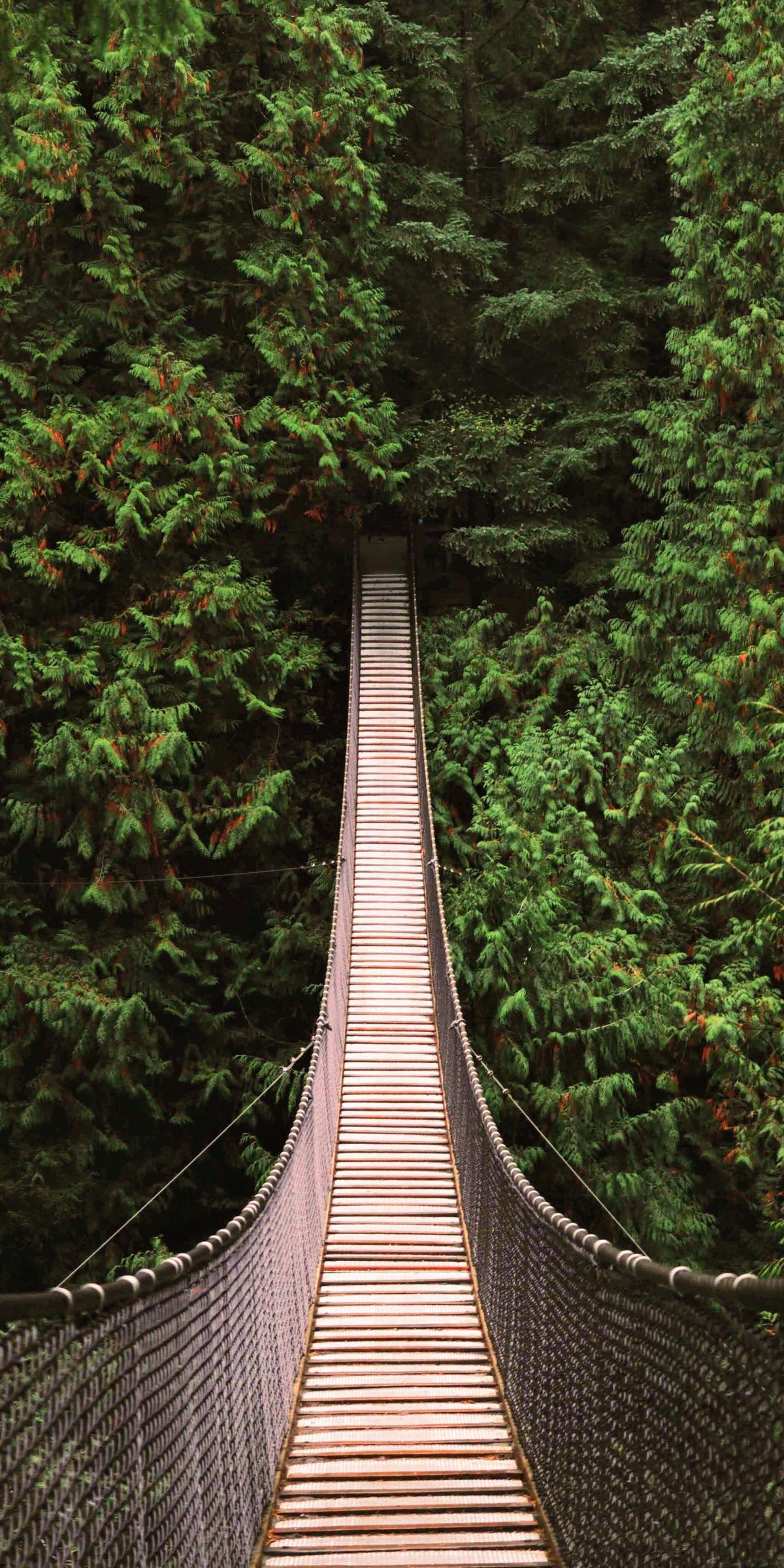 Get Out Of Your Own Way